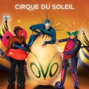 Heal the Bay, Cirque du Soleil, OVO, Santa Monica Pier